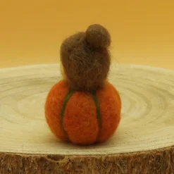 Kürbis Mini - Blumenkind - Jahreszeitentisch - Herbst