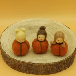 Kürbis Mini - Blumenkind - Jahreszeitentisch - Herbst