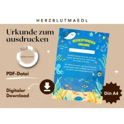 Kreative Urkunden Kindergeburtstag mit Meerestieren | Personalisierte Meeresforscher Urkunde für Kindergeburtstag |