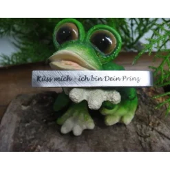 Küss mich - ich bin Dein Prinz ! Krawattennadel  aus Edelstahl für deinen Schatz