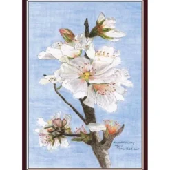 Kunst–Doppelkarte - „Mandelblütenzweig Algarve“ - bewusst ohne Textvorgabe - Design  Ulrike Kröll.