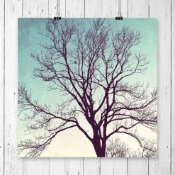 Kunstdruck, Sternenhimmel und Vogel im Winterbaum, Geschenk Weihnachten, Winterbild, 30 x 30 cm