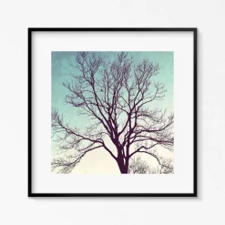 Kunstdruck, Sternenhimmel und Vogel im Winterbaum, Geschenk Weihnachten, Winterbild, 30 x 30 cm