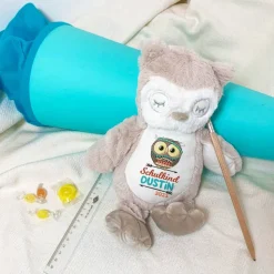 Kuscheltier Schultüte Löwe Teddy Hase Katze Eule Schulanfang Plüschtier personalisiert mit Schulkind Name