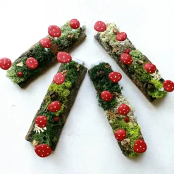 Leuchtpilze auf Baumrinde