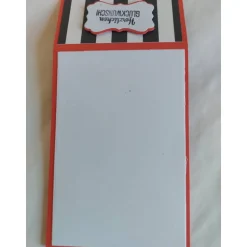 Liftkarte, Geldgeschenkverpackung, Geldscheinverpackung, Gutscheinverpackung zum Geburtstag