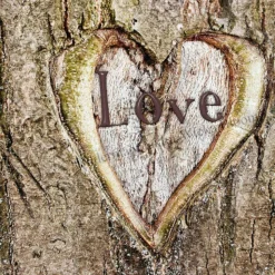LOVE Baumherz, Romantisches Wandbild auf Holz Leinwandbild Kunstdruck Wanddeko im rustikalen Shabby Landhausstil kaufen
