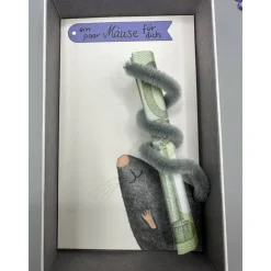 lustiges Geldgeschenk  ....ein paar Mäuse