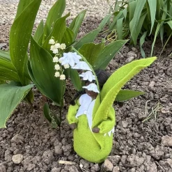 Maiglöckchen - Jahreszeitentisch  - Sommer - Blumenkinder - Frühling
