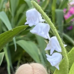 Maiglöckchen - Jahreszeitentisch  - Sommer - Blumenkinder - Frühling