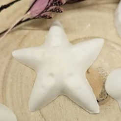 Maritime Schätze: Handgefertigte Muschel-Deko aus Raysin