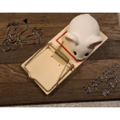 Mausefalle mit Maus perfekt für Geldgeschenke - originelle Verpackung für Geldgeschenke