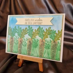 Mohrrüben - Garten - Karte - Gras