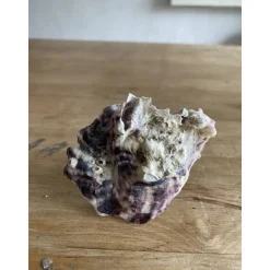 Muschel Segelschiff mit Spruch, kleines Geschenk für Meerliebhaber, Segelboot als Dekoration