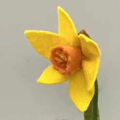 Narzisse/Osterglocke - Jahreszeitentisch  - Winter - Blumenkinder - Frühling