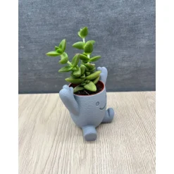 Niedlicher 3D-Blumentopf mit Gesicht | Lustige Pflanztopf-Figur für Sukkulenten | Fensterbank & Wohnzimmer Deko | Perfek