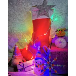 Nikolausstiefel 2023 gefüllt für Reiter, Pferde und Hunde