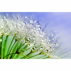 Ohrstecker Edelstahl 12mm Cabochon mit eigenen Bild personalisiert