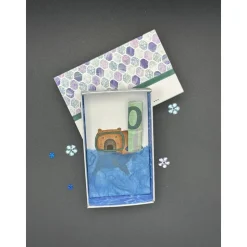 Originelle Capybara Geschenkverpackung: Lustige Box für Geldgeschenk oder Gutschein