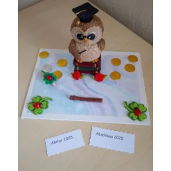 Originelles Geldgeschenk Schulabschluss Abitur – Eule mit Doktorhut & Geldklammer als Geschenkidee