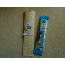 Ostergeschenk  Geschenkverpackung Ostern  Osterhase  Hase  Osterverpackung Schoko -Lolli- Schokolade Mitbringsel
