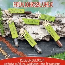 Ostergeschenk Reagenzgläser gefüllt mit Wildblumensamen oder Kressesamen - 5er Set, kleine Aufmerksamkeit, Ostern, Blume