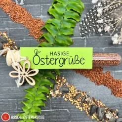 Ostergeschenk Reagenzgläser gefüllt mit Wildblumensamen oder Kressesamen - 5er Set, kleine Aufmerksamkeit, Ostern, Blume