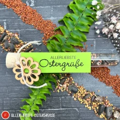 Ostergeschenk Reagenzgläser gefüllt mit Wildblumensamen oder Kressesamen - 5er Set, kleine Aufmerksamkeit, Ostern, Blume