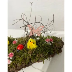 Ostergesteck auf einer Baumrinde