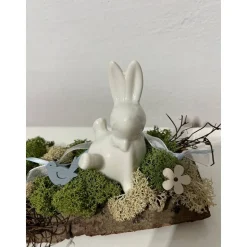 Ostergesteck auf einer Baumrinde