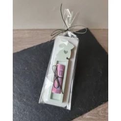 Osterhasen Geldgeschenk Halter aus Profiplast – Geschenkset inkl. Karte & Beutel, verschiedene Modelle & Farben