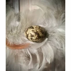 OSTERKRANZ AUS FEDERN MIT WACHTELEIERN