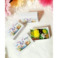 OsternTo-Go in der Schachtel, Hase, Ostern, Frühling, Osterhase, Mitbringsel, Mitgebsel, Geschenk, Ostergeschenk, Kleini