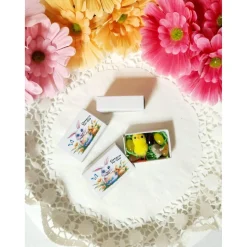 OsternTo-Go in der Schachtel, Hase, Ostern, Frühling, Osterhase, Mitbringsel, Mitgebsel, Geschenk, Ostergeschenk, Kleini