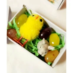 OsternTo-Go in der Schachtel, Hase, Ostern, Frühling, Osterhase, Mitbringsel, Mitgebsel, Geschenk, Ostergeschenk, Kleini