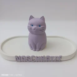 Ovales Tablett mit einer süßen Katze und Schriftzug Naschkatze