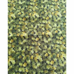 Patchworkstoff - kleine olivgrüne Blättchen, Robert Kaufmann