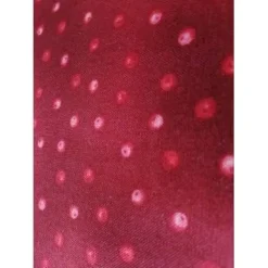 Patchworkstoff Rote Iluxbeeren mit grünen Blättern auf schwarzem Hintergrund Maywood Studio Nr. 027