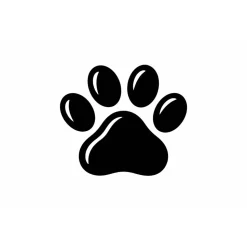 Personalisierte Schiefertafel mit Gravur – Gedenktafel aus schwarzem Naturschiefer, wetterfest & individuell