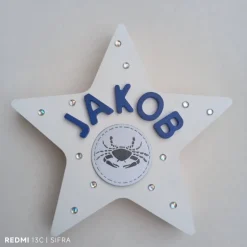 Personalisierter Stern, Glücksstern, Geschenk zur Geburt, Taufe, Geburtstag