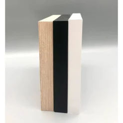 Personalisiertes Geburtstagsgeschenk Unikat Custom Wandbild Geburtstag Geldgeschenk Geburtstag Wunscherfüller einzigarti