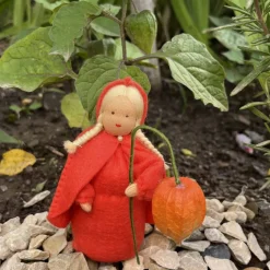 Physalis - Jahreszeitentisch - Blumenmädchen  - Herbst