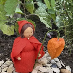 Physalis - Jahreszeitentisch - Blumenmädchen  - Herbst