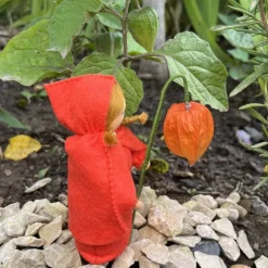 Physalis - Jahreszeitentisch - Blumenmädchen  - Herbst