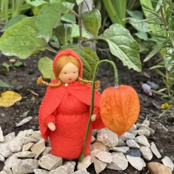 Physalis - Jahreszeitentisch - Blumenmädchen  - Herbst