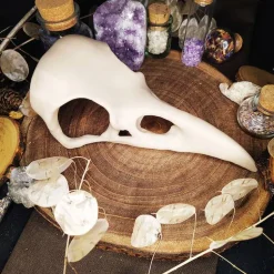 Rabenschädel Horror Halloweendekoration