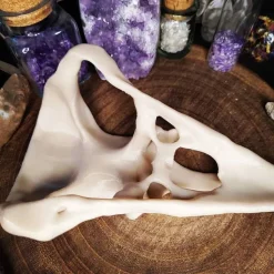 Rabenschädel Horror Halloweendekoration