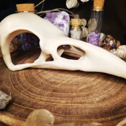 Rabenschädel Horror Halloweendekoration