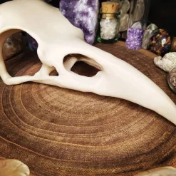 Rabenschädel Horror Halloweendekoration