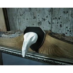 Ratte Rudis Schädel zum aufhängen